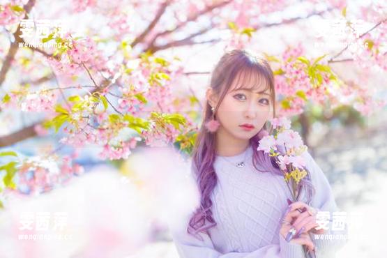 资源分享：月城委员会黑暗修女，深思她举手的决心